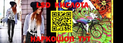 кокс Можга