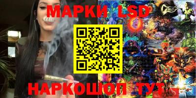 индика Моздок