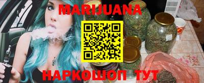 индика Моздок