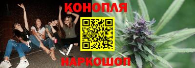 индика Моздок