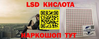 кокс Можга