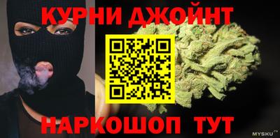 индика Моздок