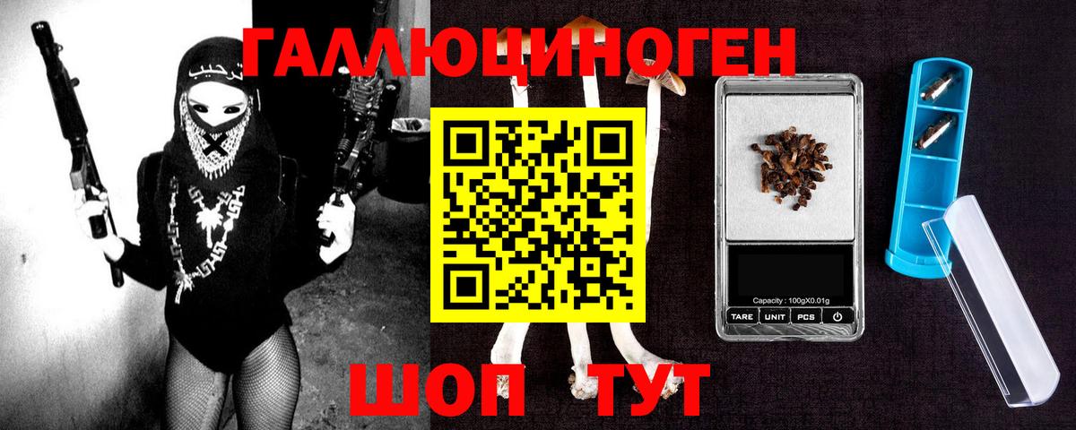 Галлюциногенные грибы Psilocybe Советский